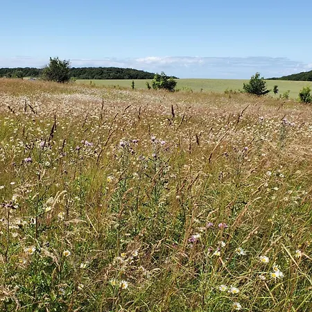 Apartamento Prora46 Meerblick