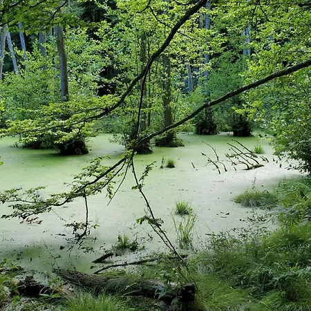 Prora46 Meerblick Apartamento Binz